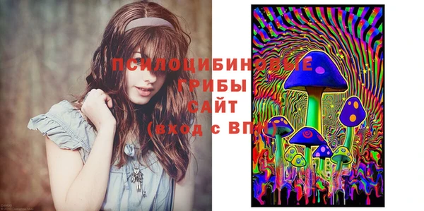 а пвп мука Алзамай