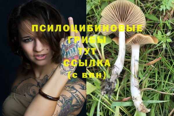 сатива Алексин
