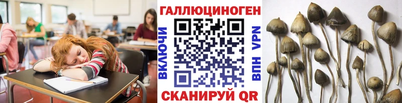 omg рабочий сайт  закладки  Оса  Псилоцибиновые грибы MAGIC MUSHROOMS 